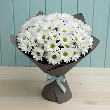 Букет цветов из:  Хризантемы #REPLACE_PRED# Залари