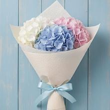 Букет цветов из:  Гортензия в Залари