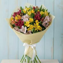 Букет цветов из:  Альстромерии в Залари